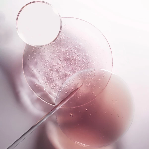 Bain Cheveux Fins à Normaux Chroma Absolu Kérastase 250ML 7 Bain Cheveux Fins à Normaux Chroma Absolu Kérastase 250ML – Image 7