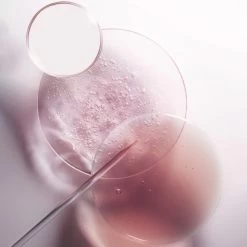 Bain Riche Cheveux Normaux à épais Chroma Absolu Kérastase 250ML -Kérastase.fr bain riche cheveux normaux a epais chroma absolu kerastase 250ml 6